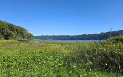 Wonderful Bali 6 Days 5 Nights